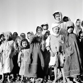 Palestinian refugees, 1950